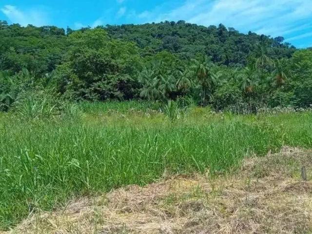 Terreno venda em Região Geográfica Imediata de Joinville, Guaramirim