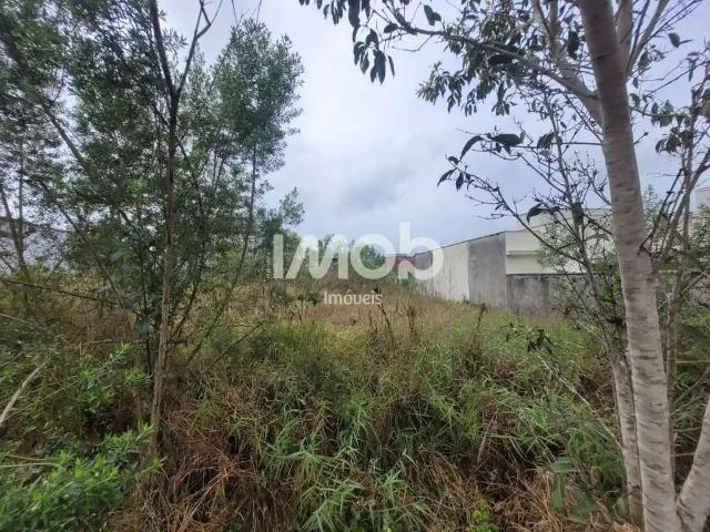 Terreno venda em Região Geográfica Imediata de Joinville, Guaramirim