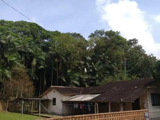 Terreno venda em Região Geográfica Imediata de Joinville, Guaramirim