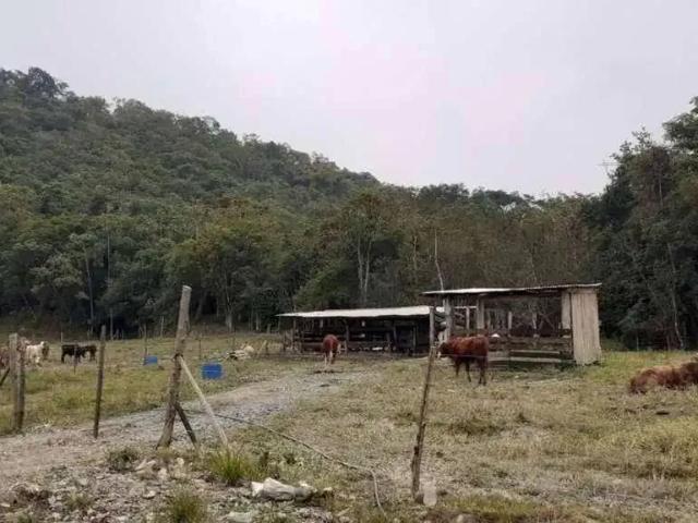 Terreno venda em Região Geográfica Imediata de Joinville, Guaramirim