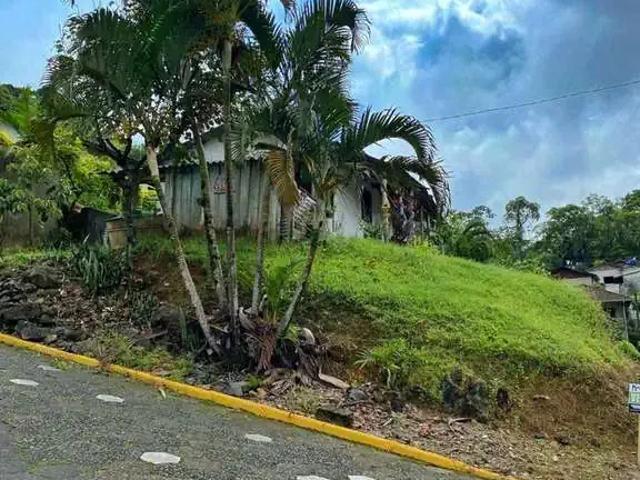 Terreno venda em Região Geográfica Imediata de Joinville, Guaramirim