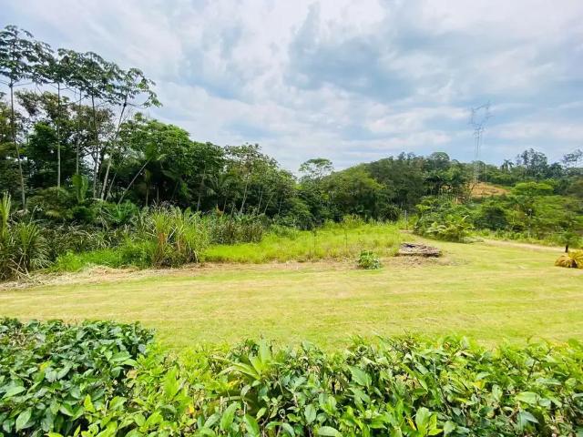 Terreno venda em Região Geográfica Imediata de Joinville, Guaramirim
