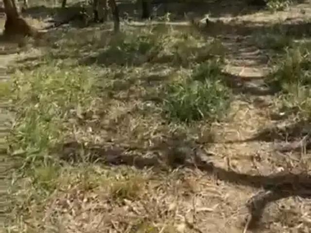 Terreno venda em Guarapari, Região Geográfica Intermediária de Vitória