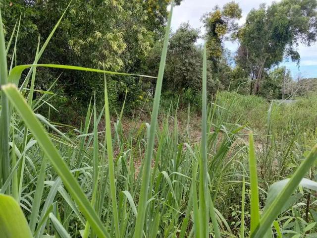Terreno venda em Região Geográfica Imediata de Vitória, Região Metropolitana da Grande Vitória
