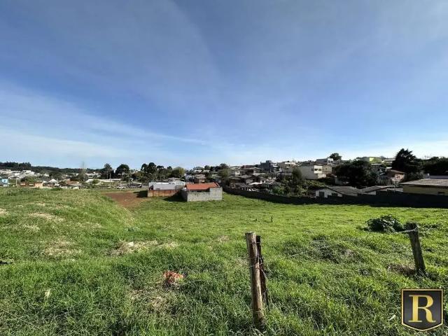 Terreno venda em Região Geográfica Imediata de Guarapuava, Guarapuava