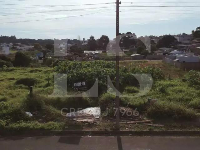 Terreno venda em Região Geográfica Imediata de Guarapuava, Guarapuava
