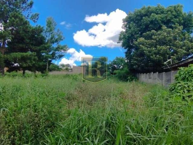 Terreno venda em Região Geográfica Imediata de Guarapuava, Guarapuava