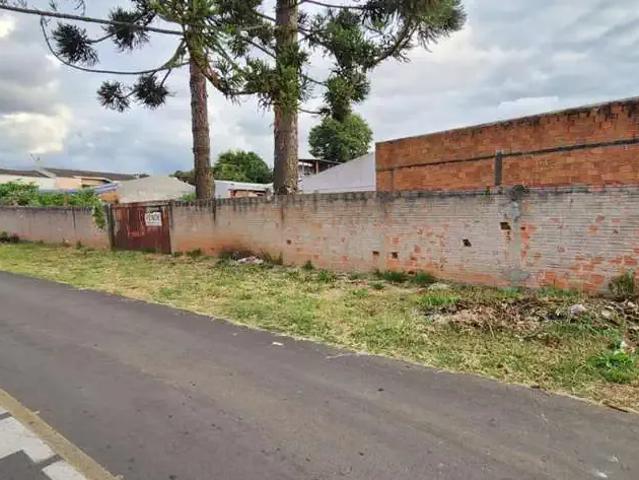 Terreno venda em Região Geográfica Imediata de Guarapuava, Guarapuava