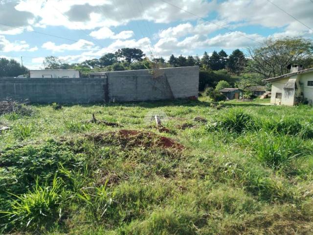 Terreno venda em Região Geográfica Imediata de Guarapuava, Guarapuava