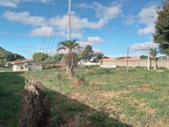 Terreno venda em Região Geográfica Imediata de Guarapuava, Guarapuava