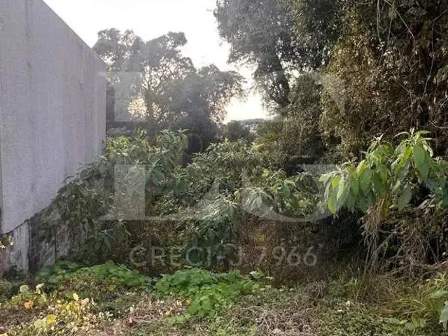 Terreno venda em Região Geográfica Imediata de Guarapuava, Guarapuava