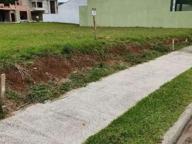 Terreno venda em Região Geográfica Imediata de Guarapuava, Guarapuava