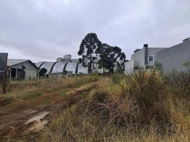 Terreno venda em Região Geográfica Imediata de Guarapuava, Guarapuava