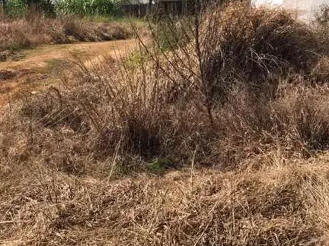 Terreno venda em Região Geográfica Imediata de Guarapuava, Guarapuava