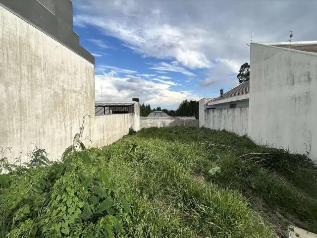 Terreno venda em Região Geográfica Imediata de Guarapuava, Guarapuava