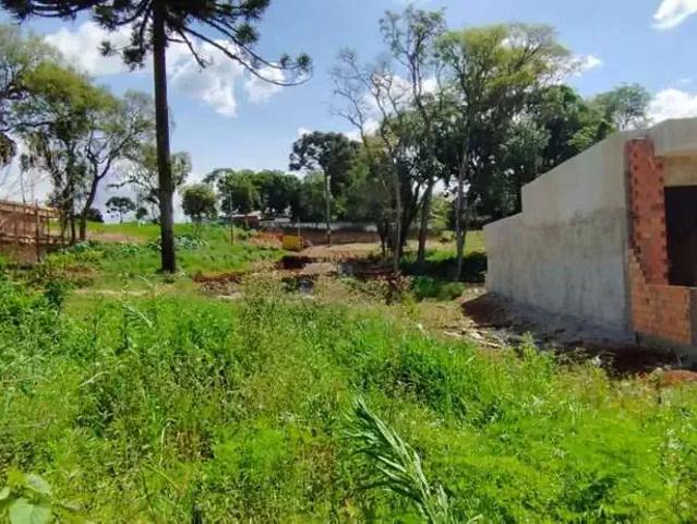 Terreno venda em Região Geográfica Imediata de Guarapuava, Guarapuava