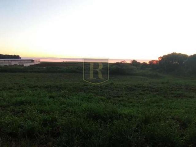 Terreno venda em Região Geográfica Imediata de Guarapuava, Guarapuava