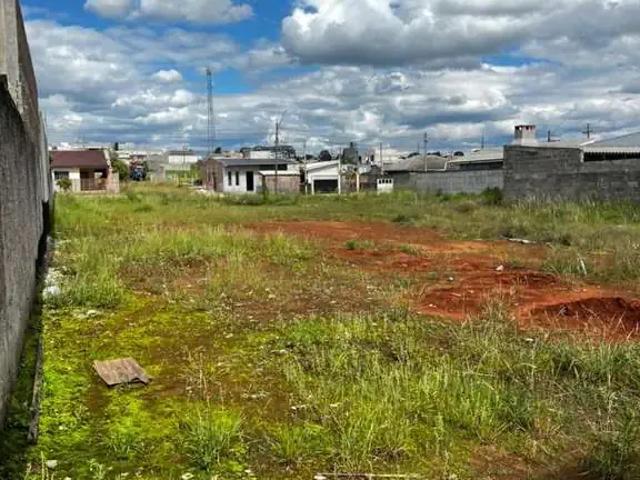 Terreno venda em Região Geográfica Imediata de Guarapuava, Guarapuava