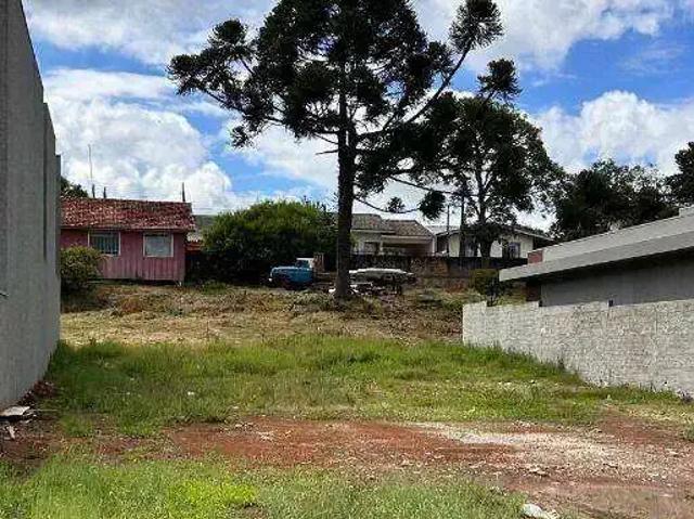 Terreno venda em Guarapuava, Região Geográfica Intermediária de Guarapuava