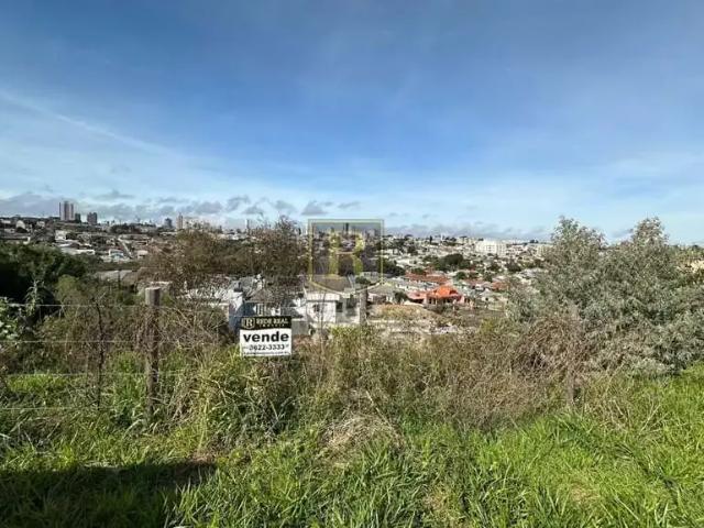 Terreno venda em Região Geográfica Imediata de Guarapuava, Guarapuava