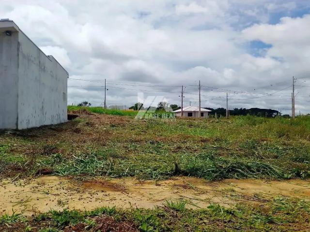 Terreno venda em Guarapuava, Região Geográfica Intermediária de Guarapuava