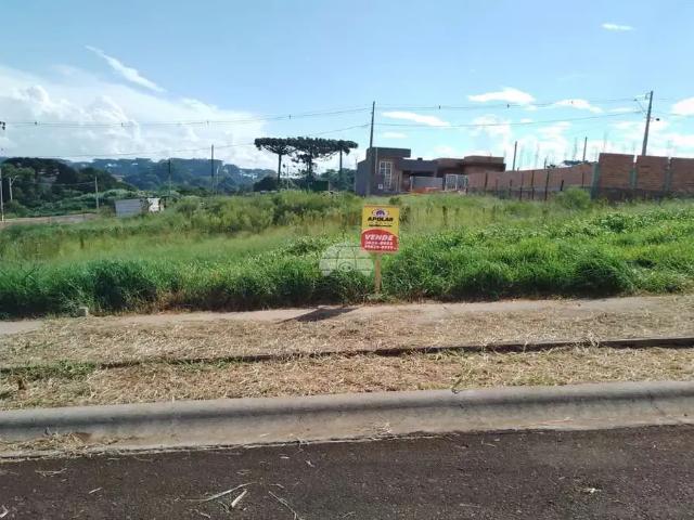 Terreno venda em Guarapuava, Região Geográfica Intermediária de Guarapuava