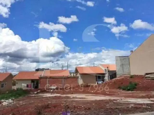 Terreno venda em Região Geográfica Imediata de Guarapuava, Guarapuava