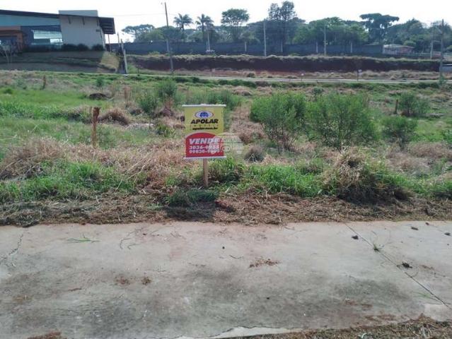 Terreno venda em Região Geográfica Imediata de Guarapuava, Guarapuava