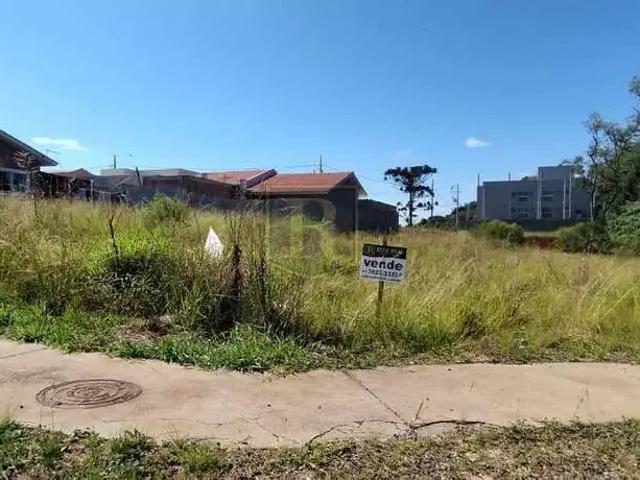 Terreno venda em Região Geográfica Imediata de Guarapuava, Guarapuava