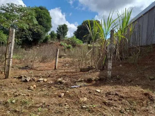 Terreno venda em Região Geográfica Imediata de Guarapuava, Guarapuava