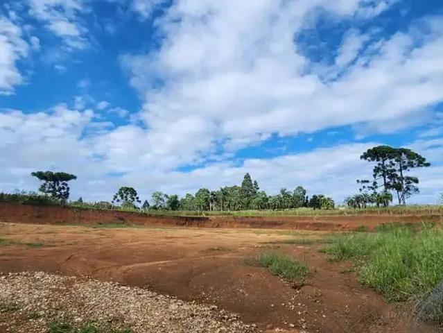 Terreno venda em Região Geográfica Imediata de Guarapuava, Guarapuava