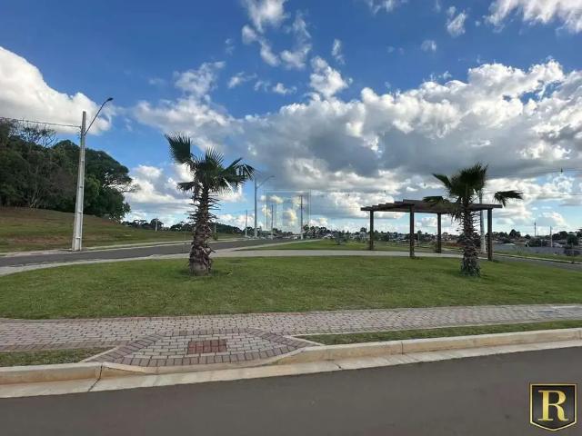 Terreno venda em Região Geográfica Imediata de Guarapuava, Guarapuava