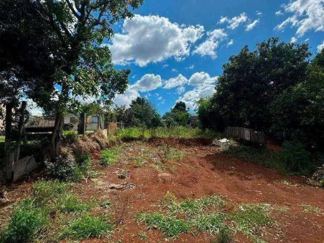 Terreno venda em Região Geográfica Imediata de Guarapuava, Guarapuava