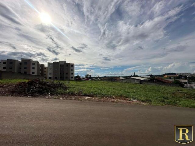 Terreno venda em Região Geográfica Imediata de Guarapuava, Guarapuava