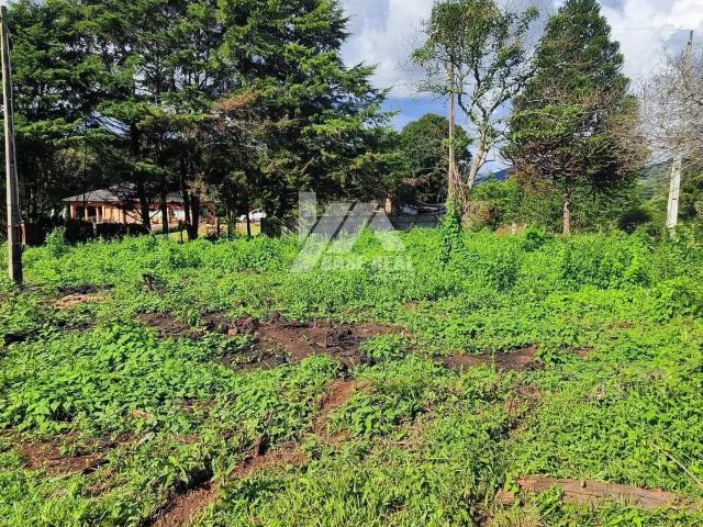 Terreno venda em Guarapuava, Região Geográfica Intermediária de Guarapuava