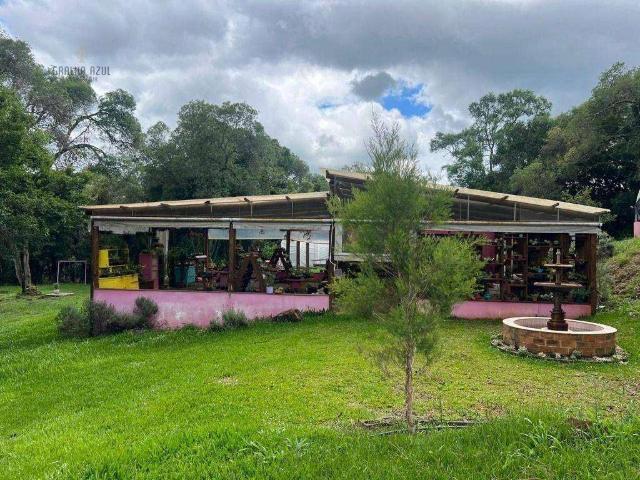Terreno venda em Região Geográfica Imediata de Guarapuava, Guarapuava
