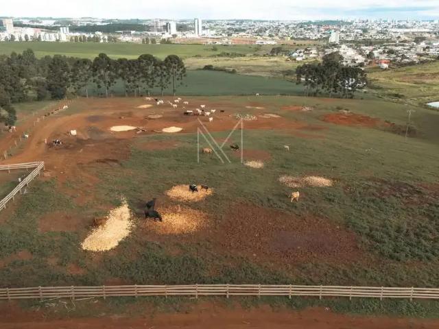 Terreno venda em Região Geográfica Imediata de Guarapuava, Guarapuava