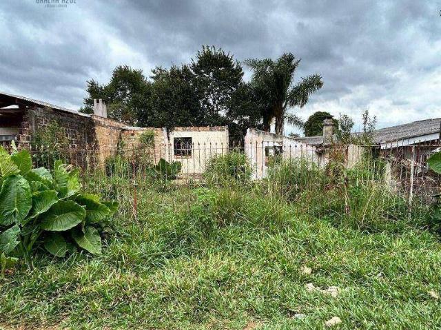 Terreno venda em Região Geográfica Imediata de Guarapuava, Guarapuava