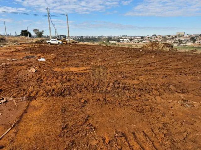 Terreno venda em Região Geográfica Imediata de Guarapuava, Guarapuava