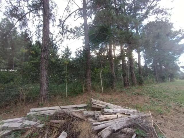 Terreno venda em Guararema