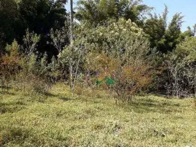 Terreno venda em Região Imediata de Guaratinguetá, Região Metropolitana do Vale do Paraíba e Litoral Norte