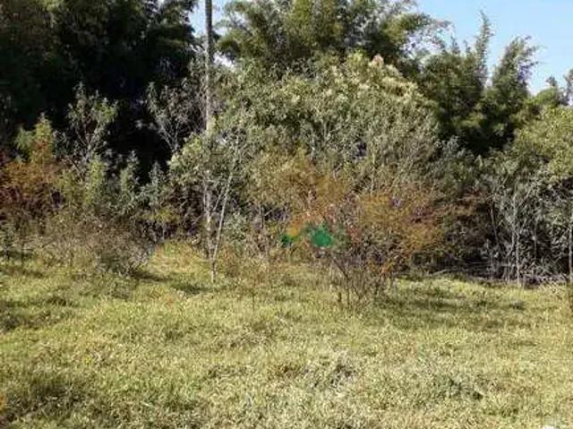 Terreno venda em Região Imediata de Guaratinguetá, Região Metropolitana do Vale do Paraíba e Litoral Norte