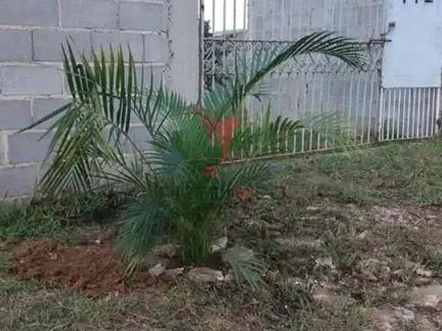 Terreno venda em Região Imediata de Guaratinguetá, Região Metropolitana do Vale do Paraíba e Litoral Norte