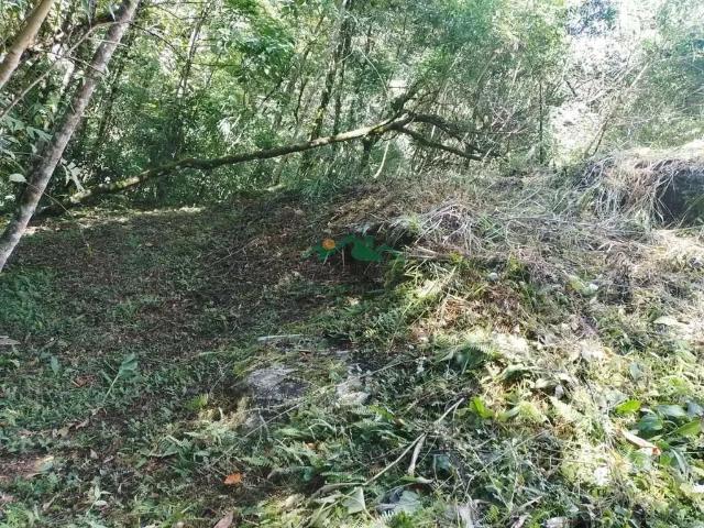 Terreno venda em Região Imediata de Guaratinguetá, Região Metropolitana do Vale do Paraíba e Litoral Norte