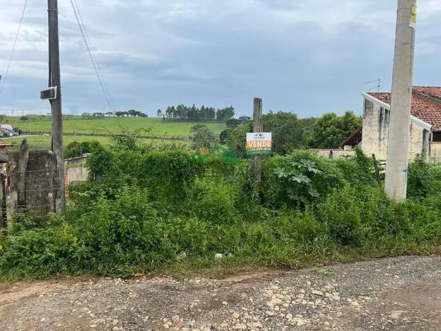 Terreno venda em Região Imediata de Guaratinguetá, Região Metropolitana do Vale do Paraíba e Litoral Norte
