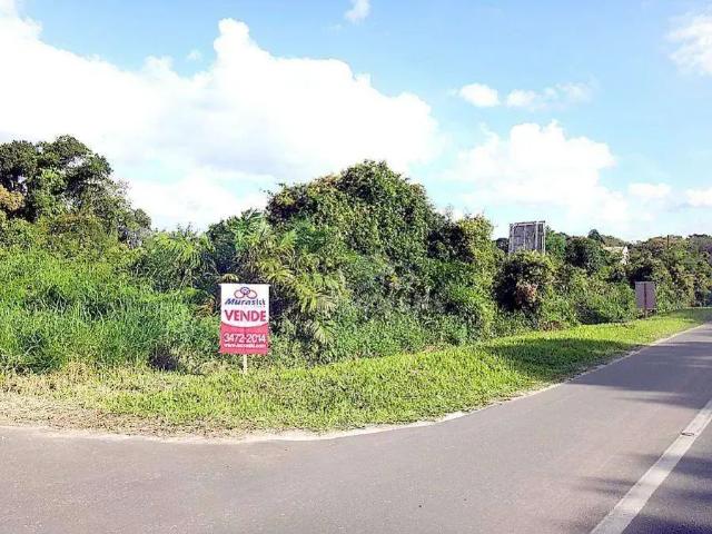 Terreno venda em Região Geográfica Imediata de Paranaguá, Guaratuba