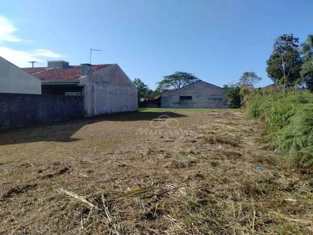Terreno venda em Região Geográfica Imediata de Paranaguá, Guaratuba
