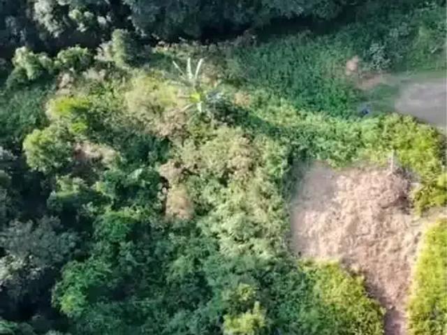 Terreno venda em Região Geográfica Imediata de Paranaguá, Guaratuba