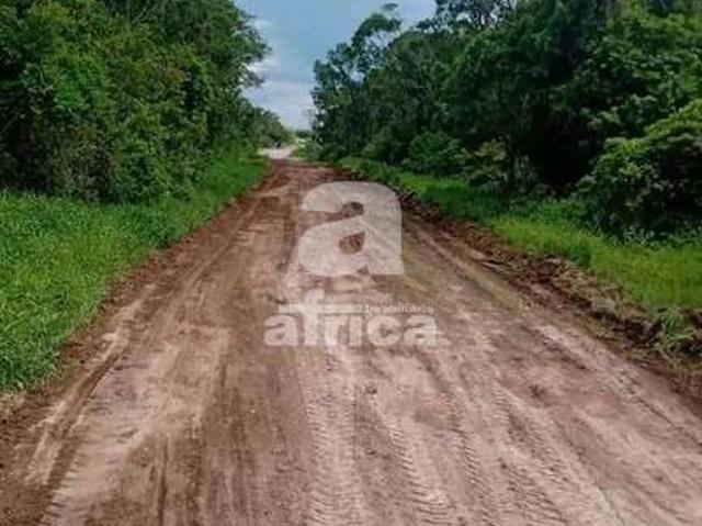 Terreno venda em Figueira, Guaratuba