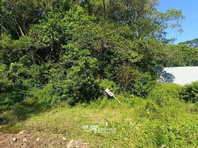Terreno venda em Região Geográfica Imediata de Paranaguá, Guaratuba